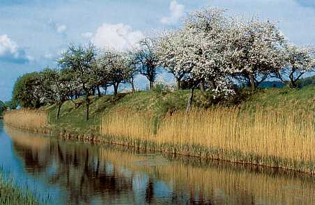 K&ouml;nig-Ludwig-Kanal